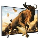 Zenoi 43" LED Television